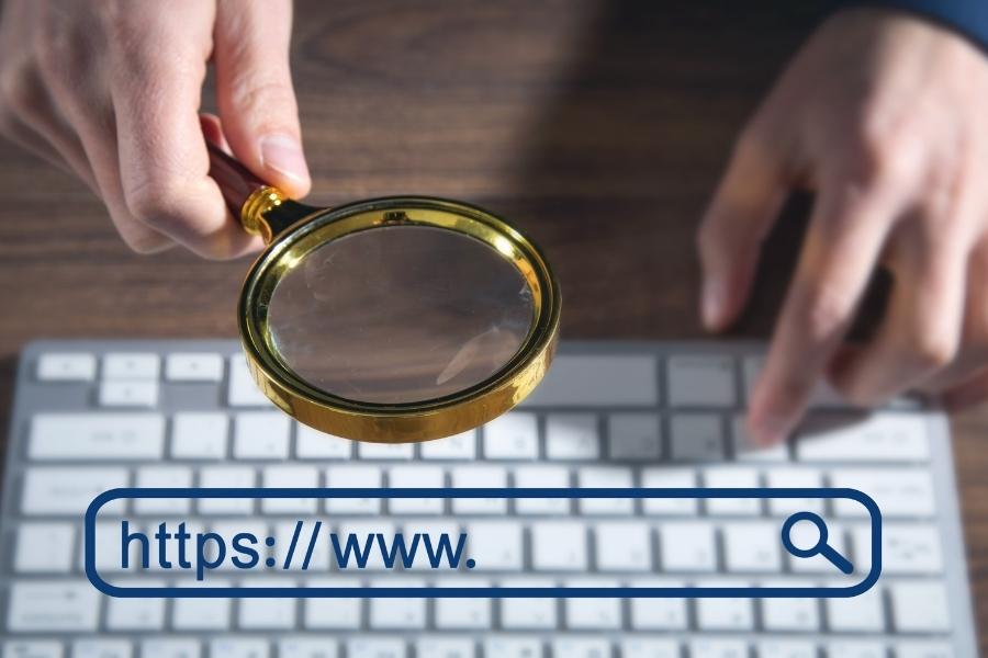 Canibalización SEO: Cómo Detectarla y Solucionarla